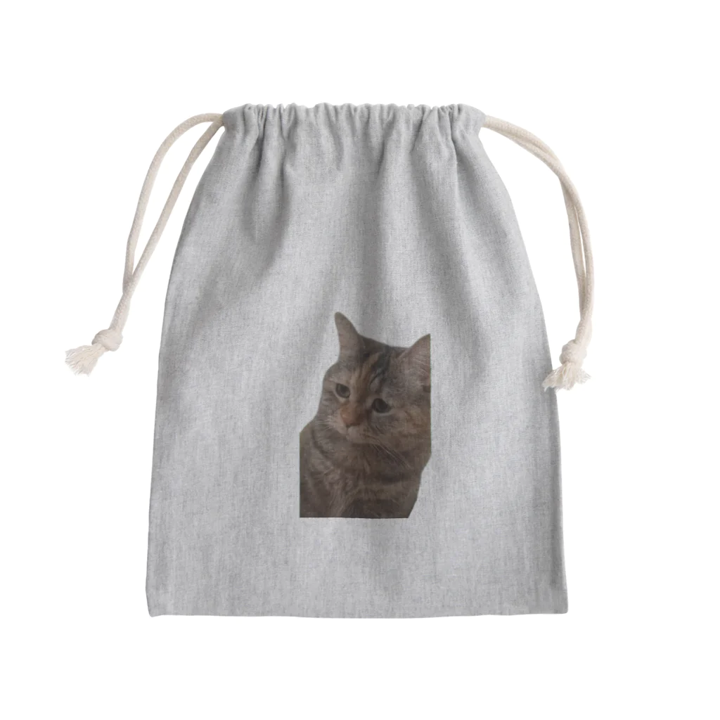 猫ミームグッズの【猫ミーム】叱られる猫 Mini Drawstring Bag