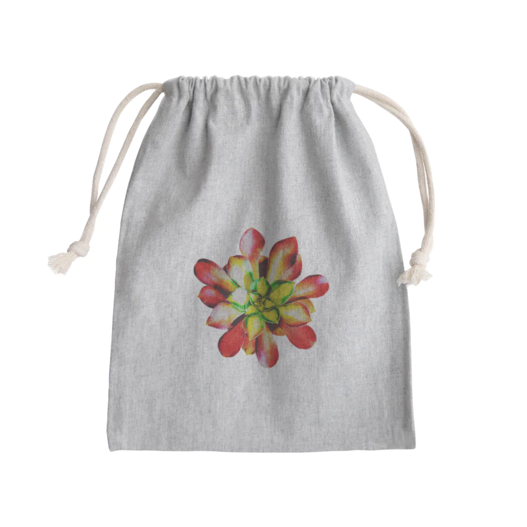 JaachanのSucculents series アエオニウム Mini Drawstring Bag