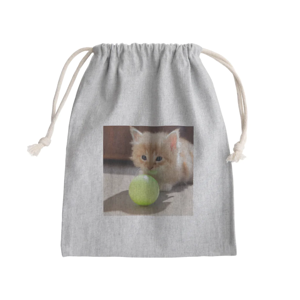 SkyBlueのもふもふな子猫 Mini Drawstring Bag