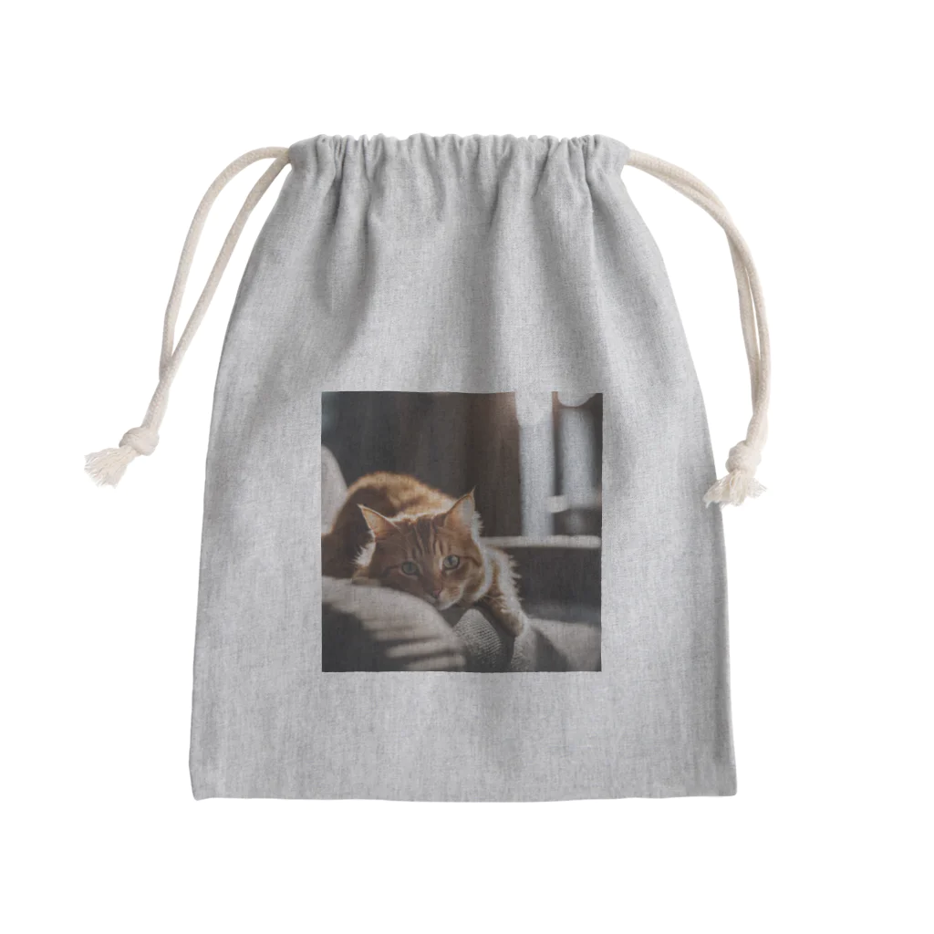 feliceのリビングでごろんとする猫 Mini Drawstring Bag