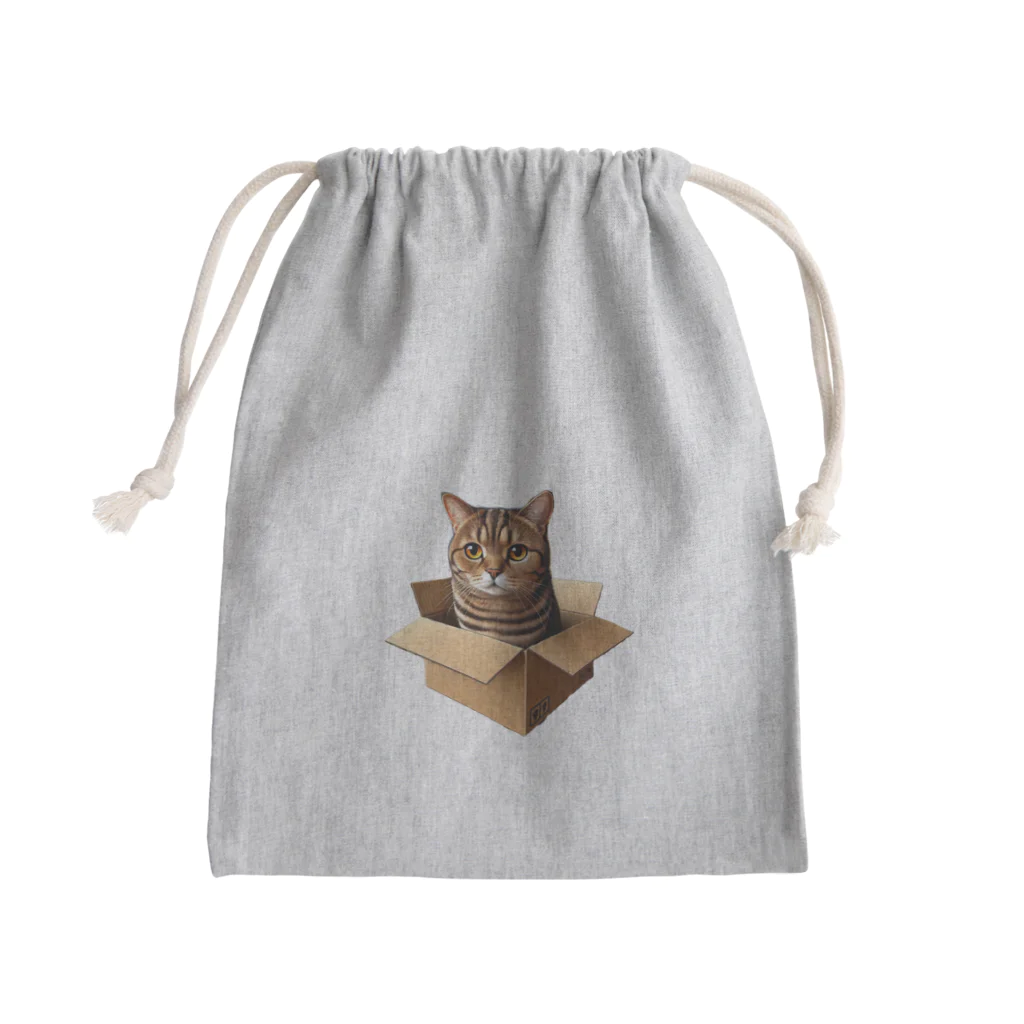 猫の小梅お嬢さんの小梅ちゃん　箱猫 Mini Drawstring Bag