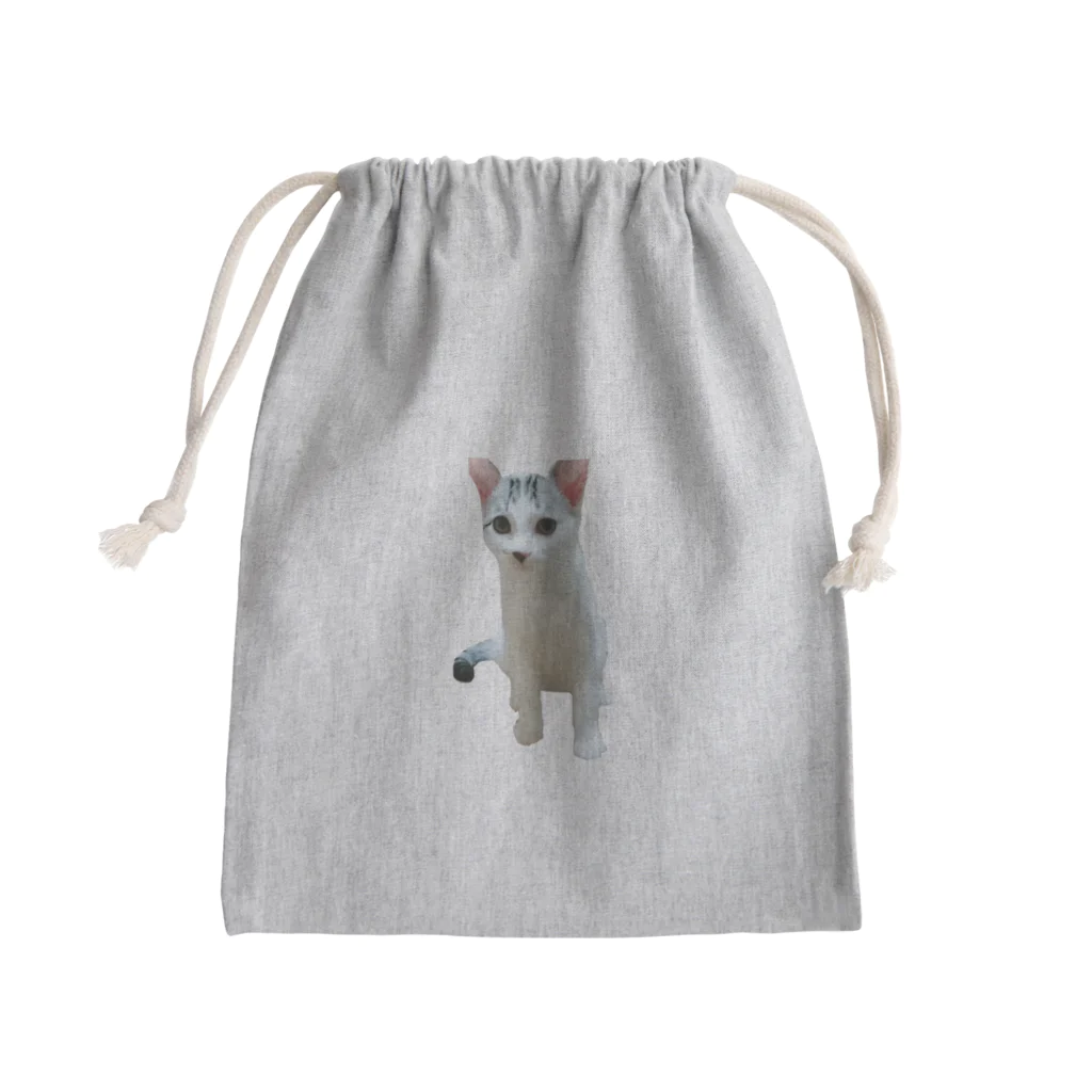 愛猫ちゃん達の毎日の★oujiii'★ Mini Drawstring Bag