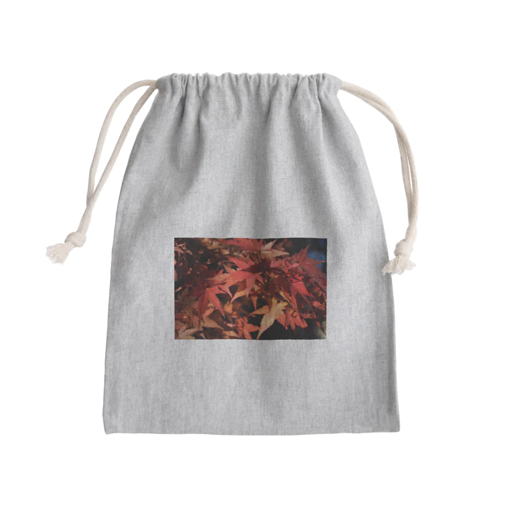 やーすみ🌻の紅葉なぜ泣くの？紅葉の勝手でしょ Mini Drawstring Bag