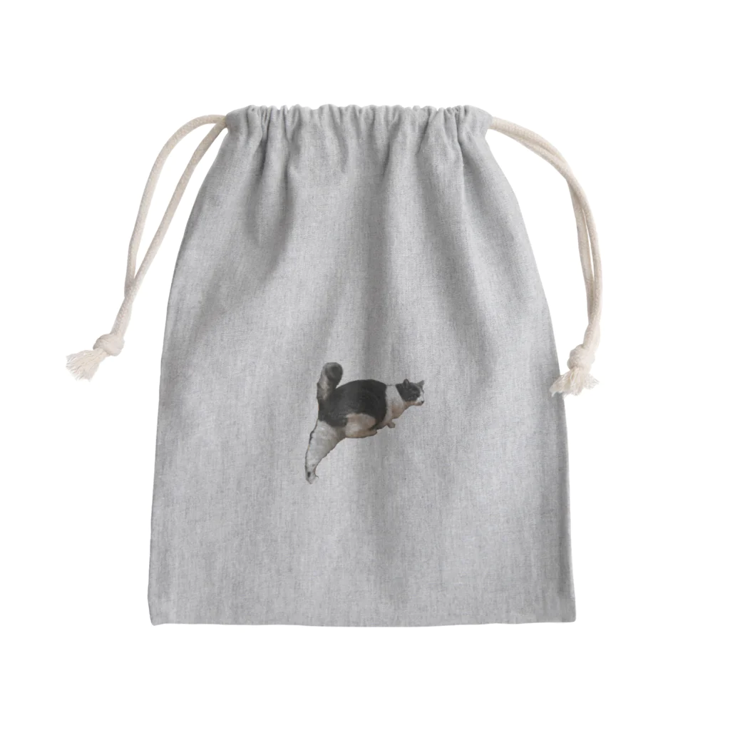 iNorの片足上陸猫 Mini Drawstring Bag