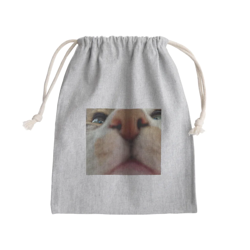 ねむたいこちぴらのおーちゃん Mini Drawstring Bag