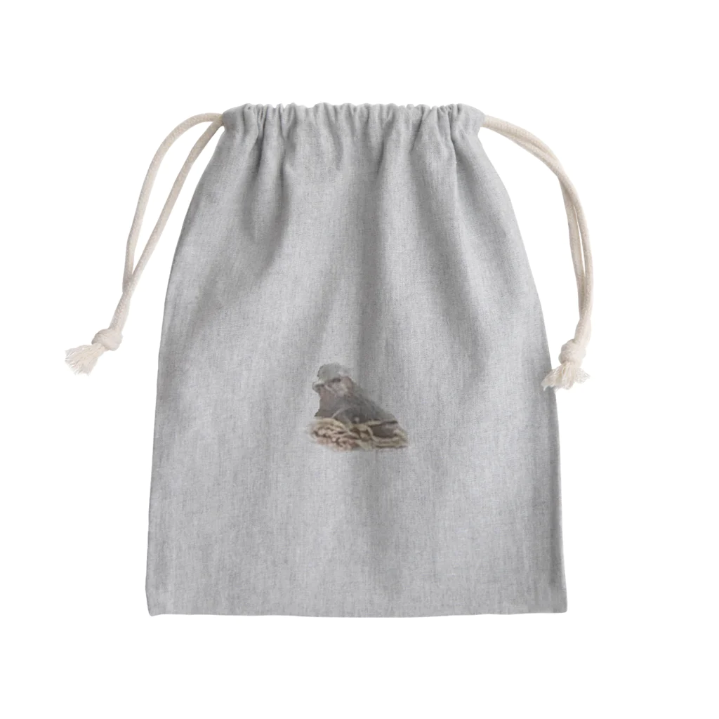 Rの鳥 Mini Drawstring Bag