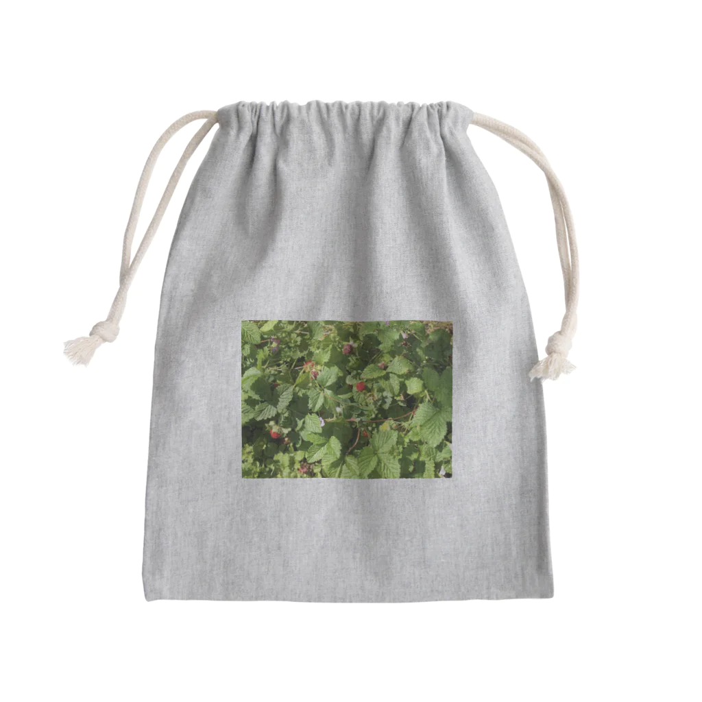 augustの小さな赤い花 Mini Drawstring Bag