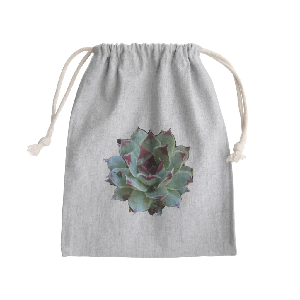 nanachan777の多肉植物　綾桜 Mini Drawstring Bag