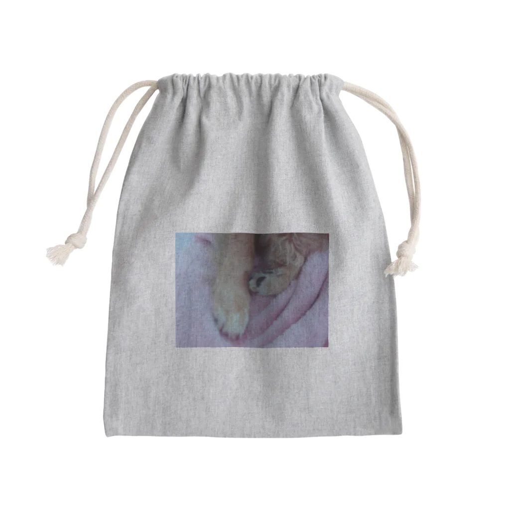 ついでにこれものきぴ Mini Drawstring Bag