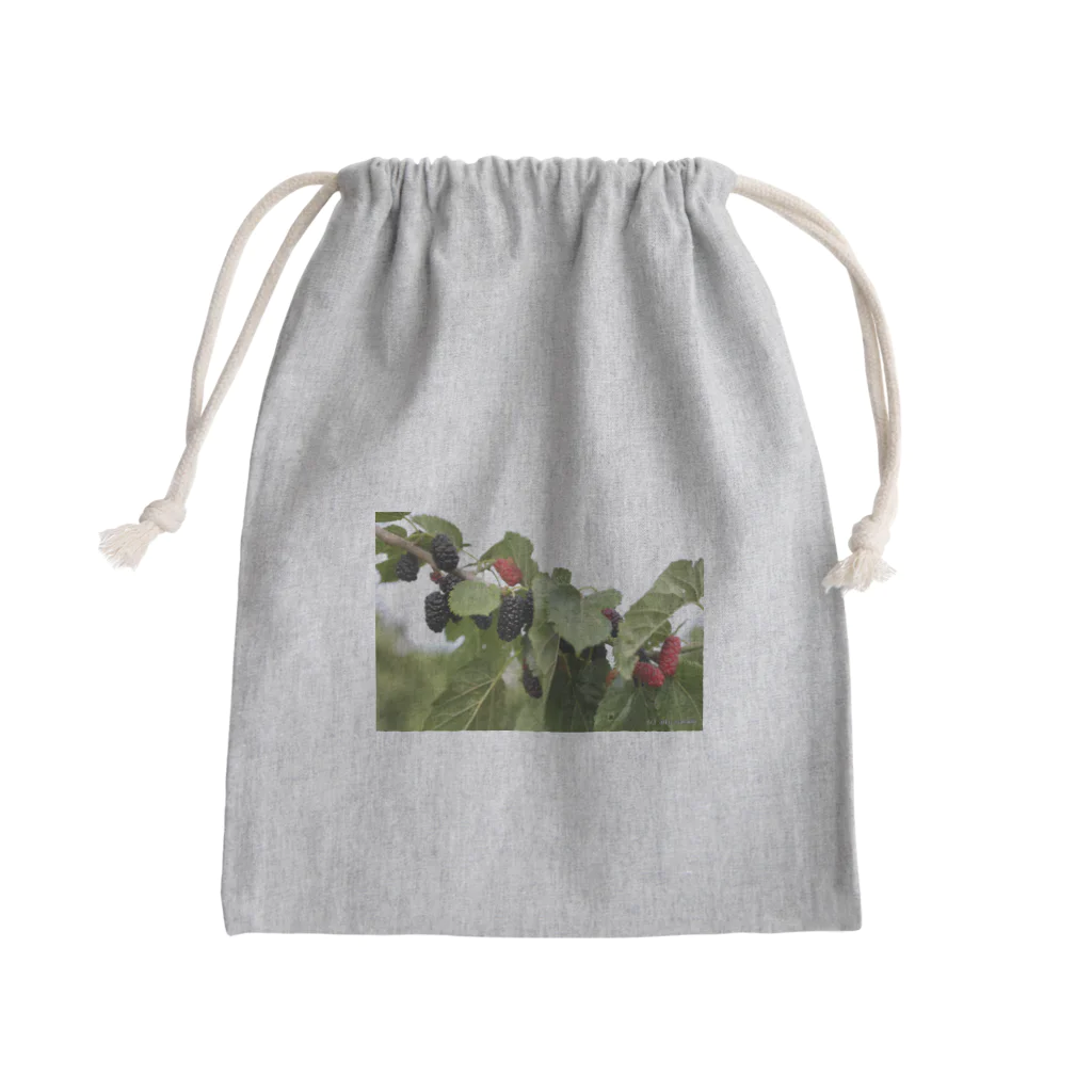 Aiko Nakanoの桑の実（Mulberry） Mini Drawstring Bag