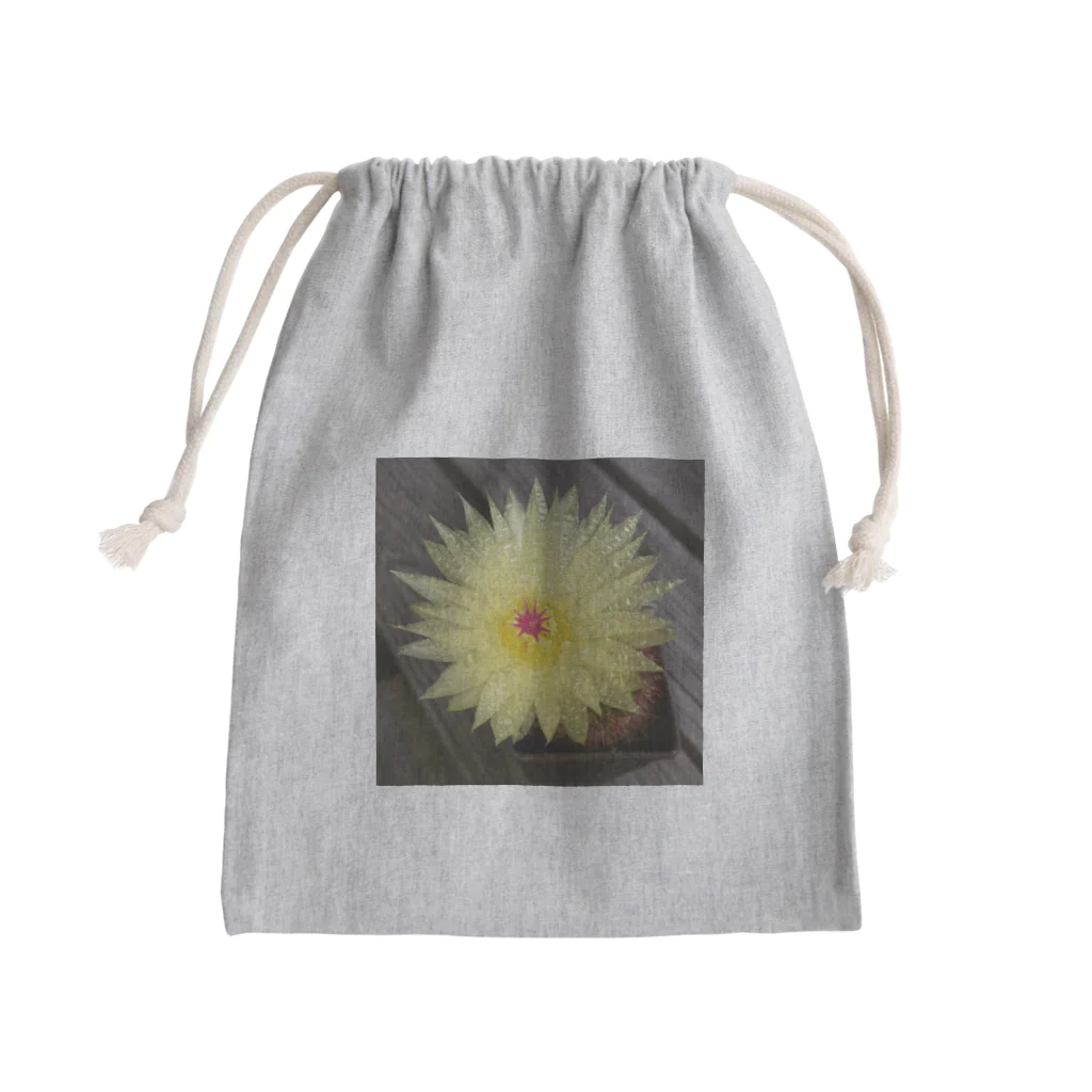 でおきしりぼ子の実験室のサボテンの花 Mini Drawstring Bag
