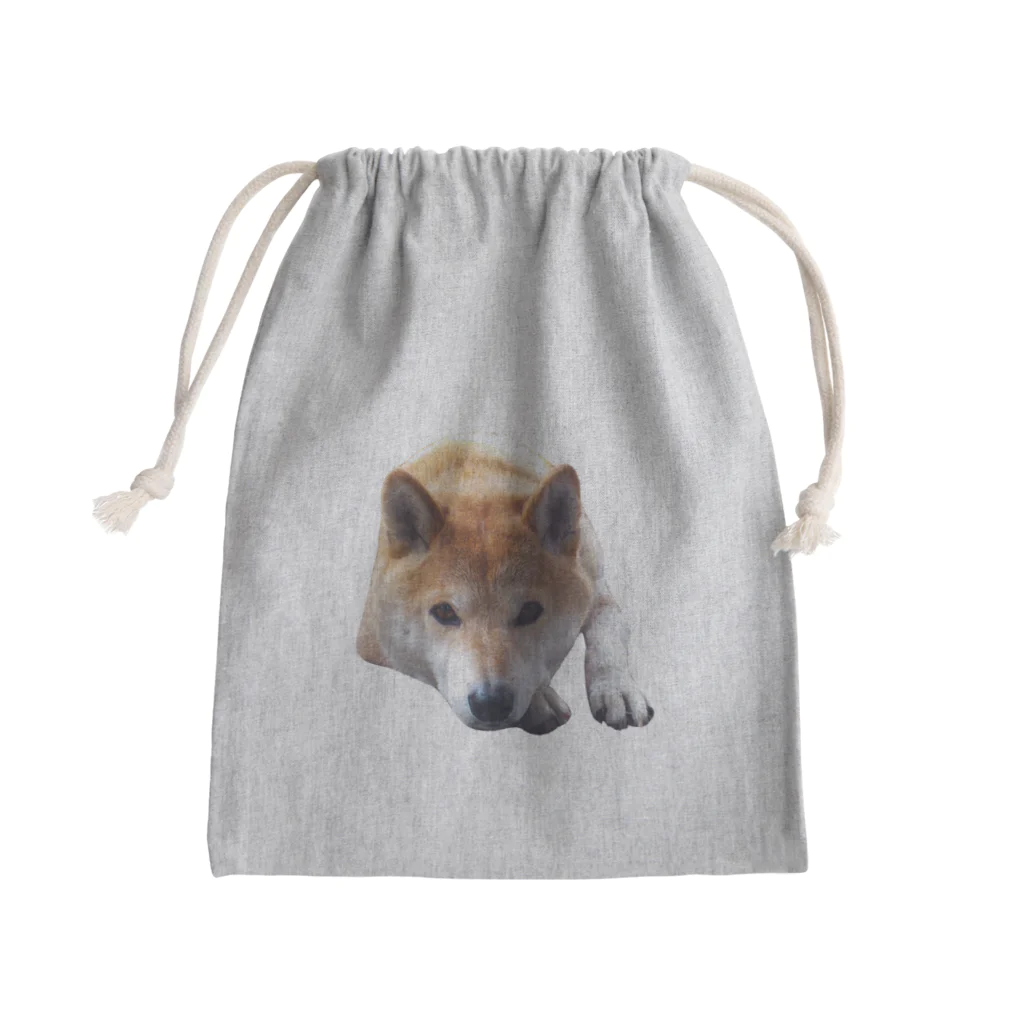 愛犬太郎のグッズの上目遣い太郎【柴犬】 Mini Drawstring Bag