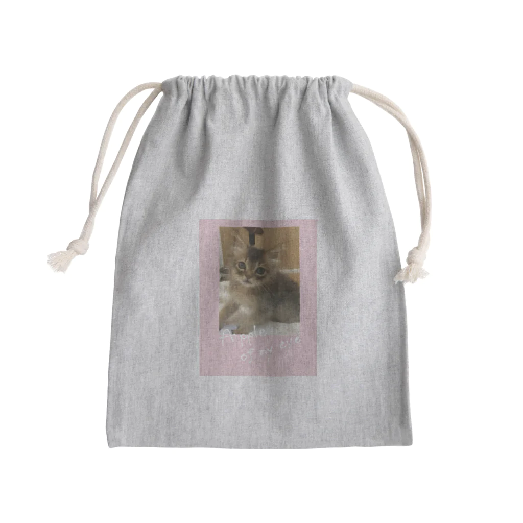 nekotabeの目に入れても痛くない　ピンク Mini Drawstring Bag