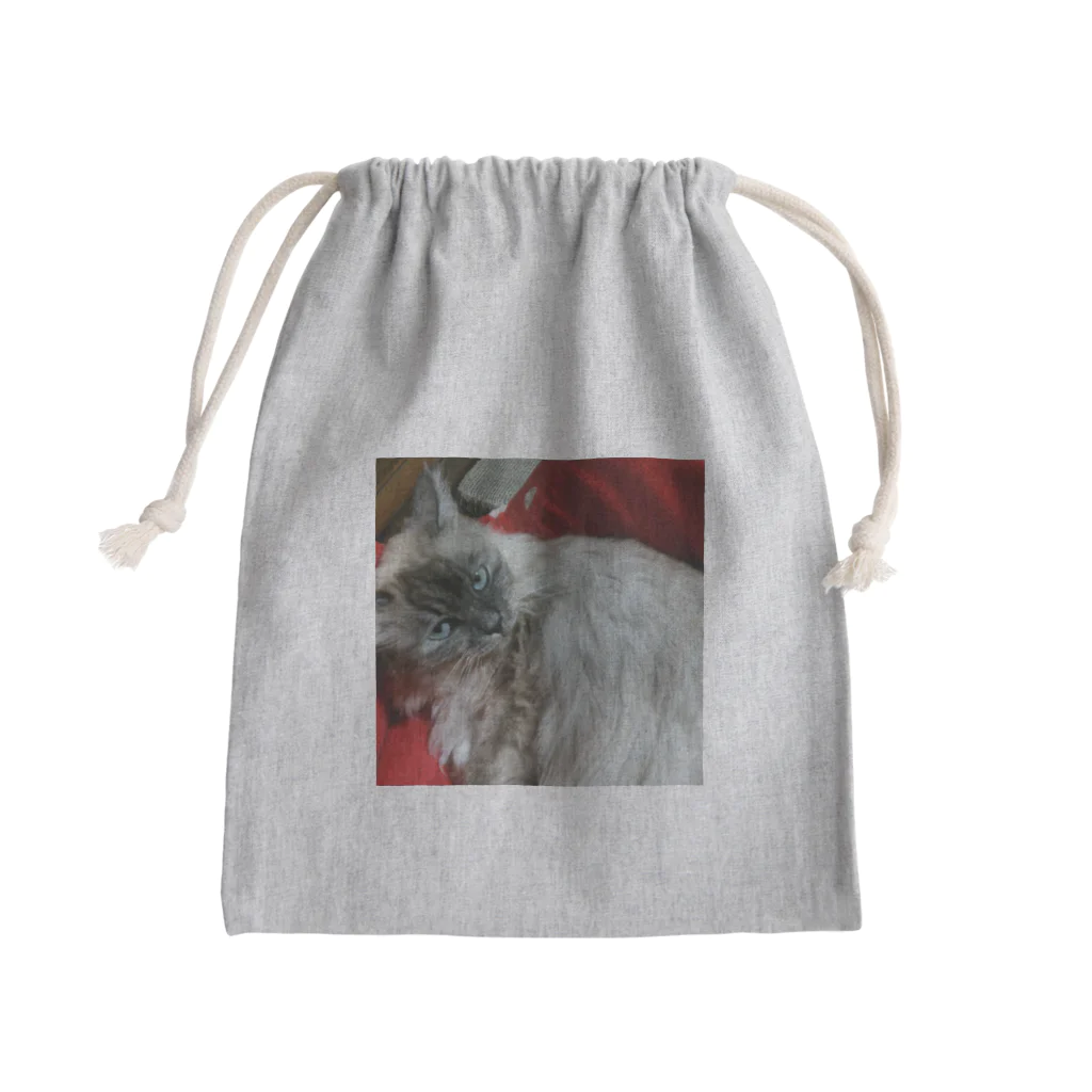 小圷のうちの猫 Mini Drawstring Bag