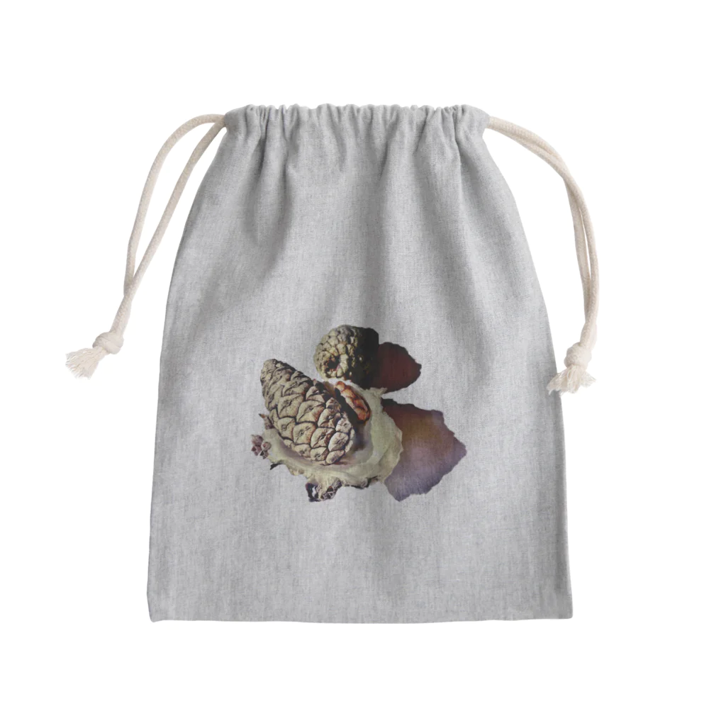 ニュー水青のぼっくり松 Mini Drawstring Bag