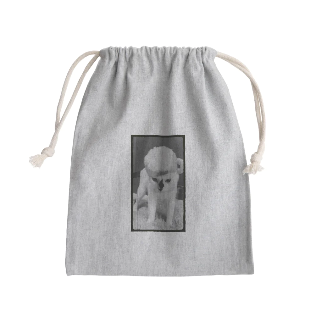 保護猫ベニとハクのリーゼントビールハク Mini Drawstring Bag