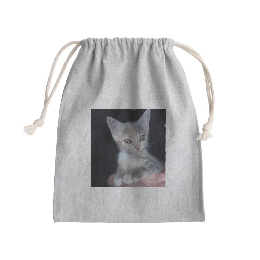 源内オーダーショップのalice01 Mini Drawstring Bag