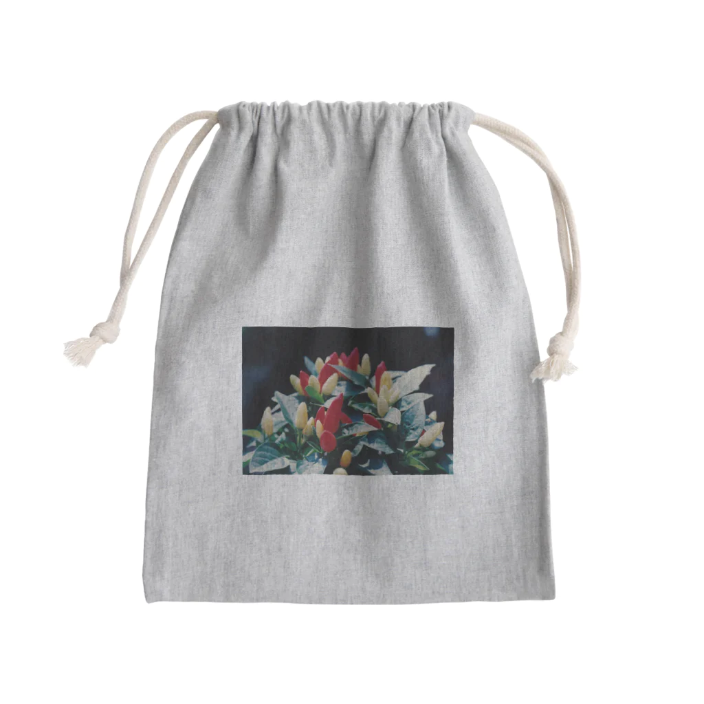 Dreamscape(LUNA)の実り Mini Drawstring Bag