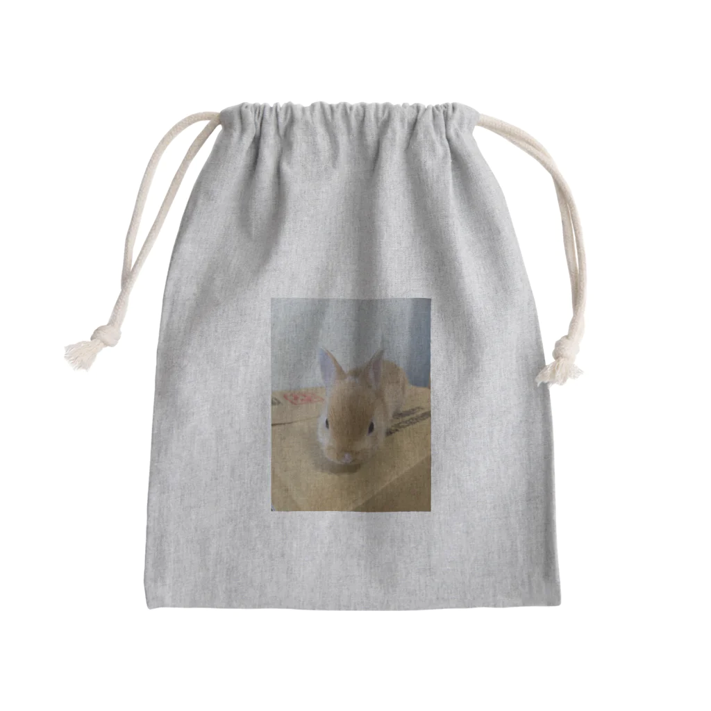 ゆっくそときなこのうさぎのきなこ Mini Drawstring Bag