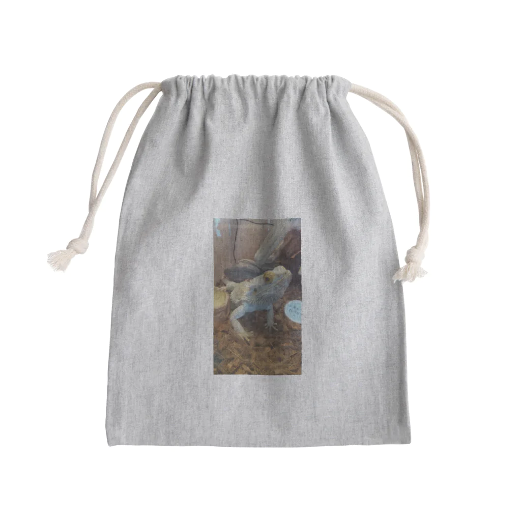 りんそらの爬虫類  Mini Drawstring Bag