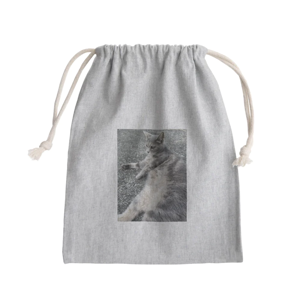 gyokaigasukiのうちの猫 Mini Drawstring Bag