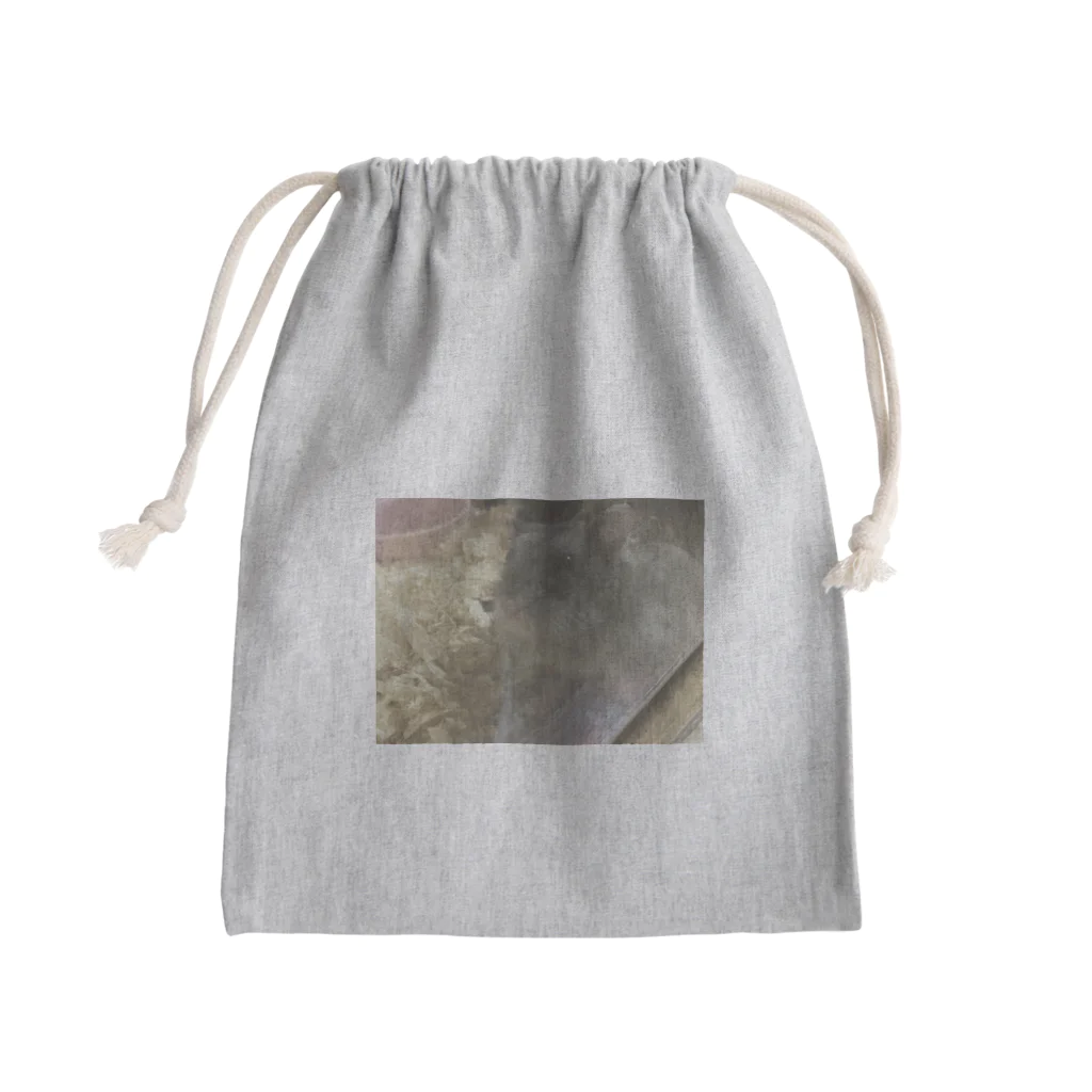 翡翠葛のわらび Mini Drawstring Bag