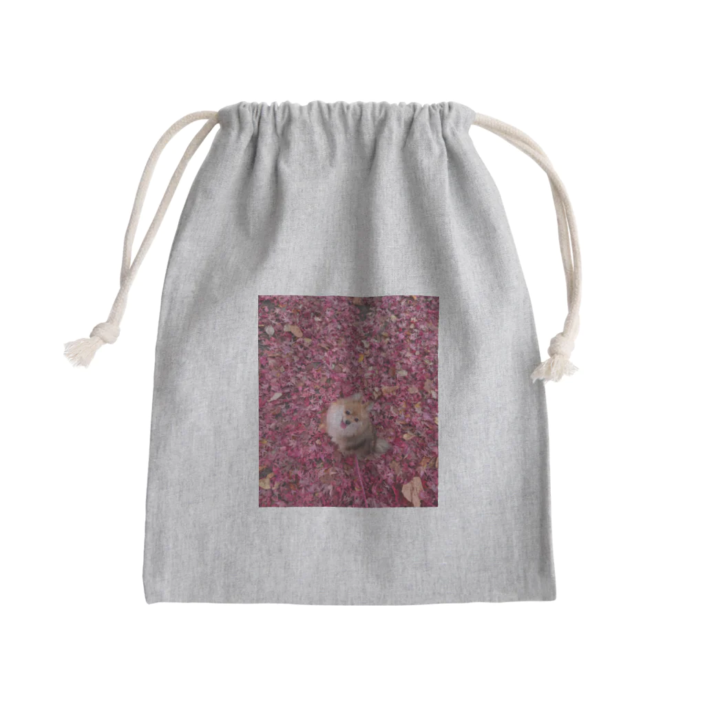 mayocodayoのポメラニアンまみちゃん Mini Drawstring Bag