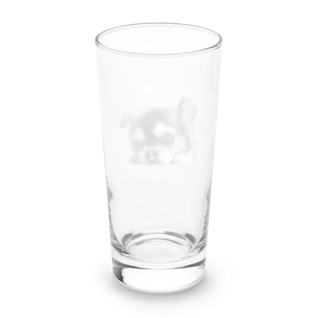 【ホラー専門店】ジルショップの可愛いチワワ＊犬＊わんこ＊動物 Long Sized Water Glass :back