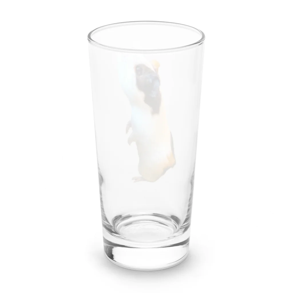 イングリッシュモルモットのさすけのイングリッシュモルモットのさすけ Long Sized Water Glass :back