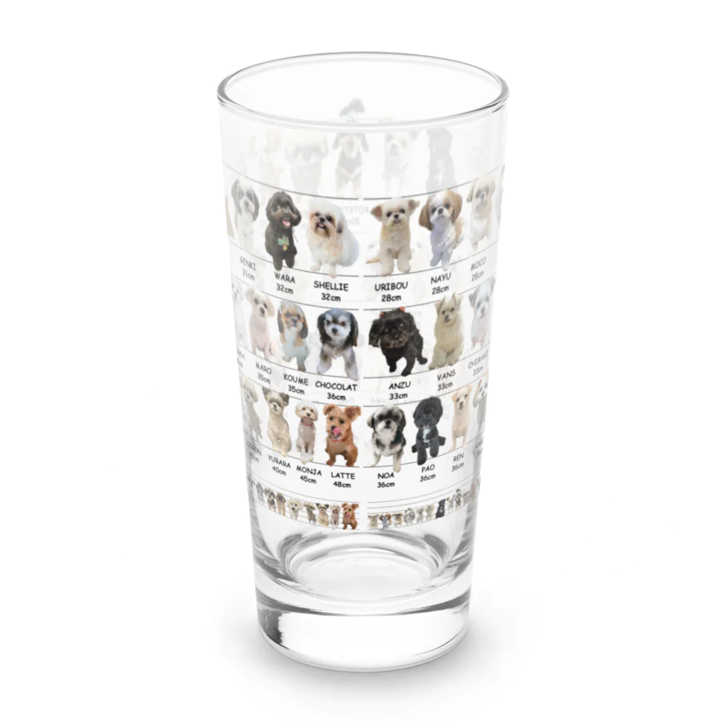 かえるのミックス犬身体測定 Long Sized Water Glass :back