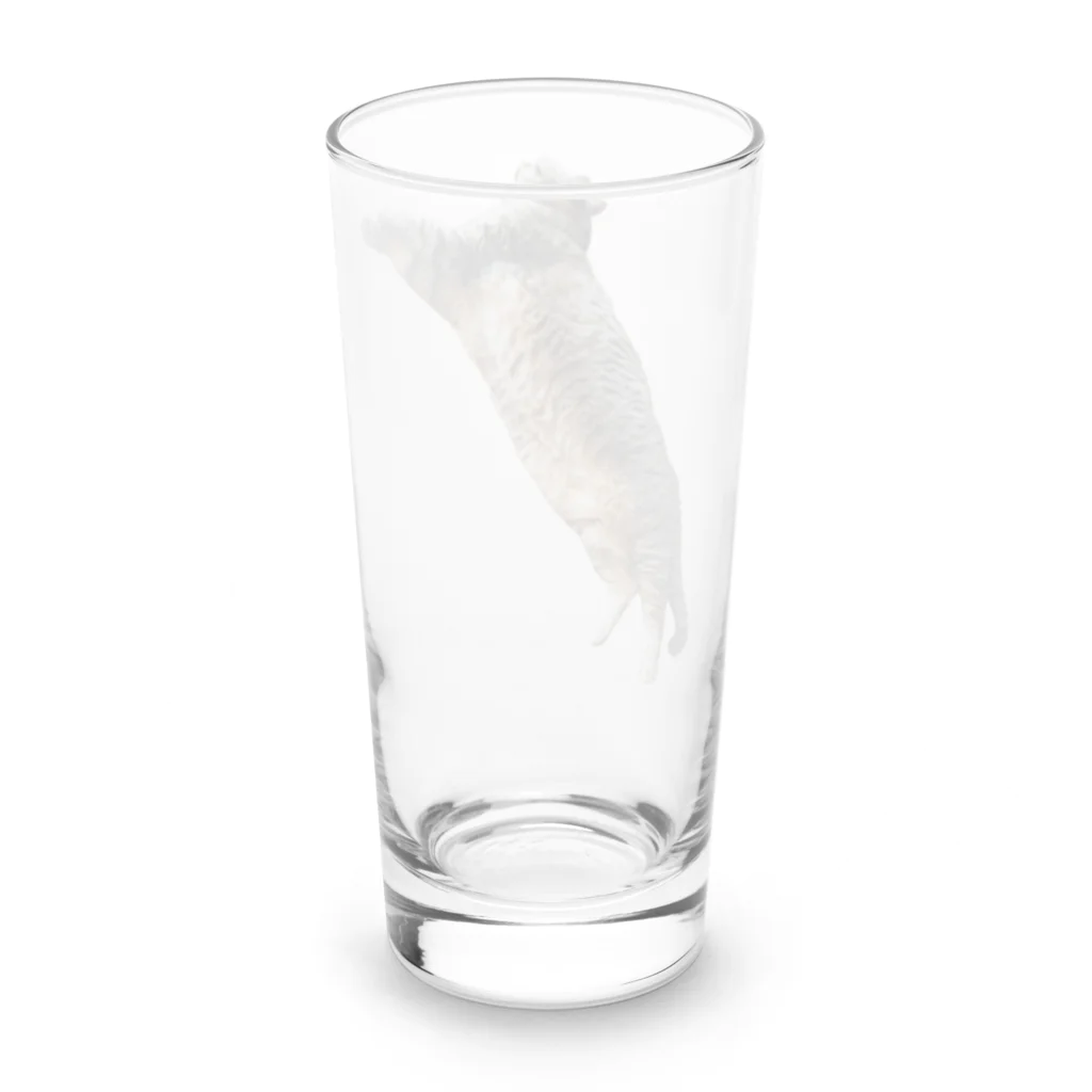 城ののびのびまるぴ Long Sized Water Glass :back