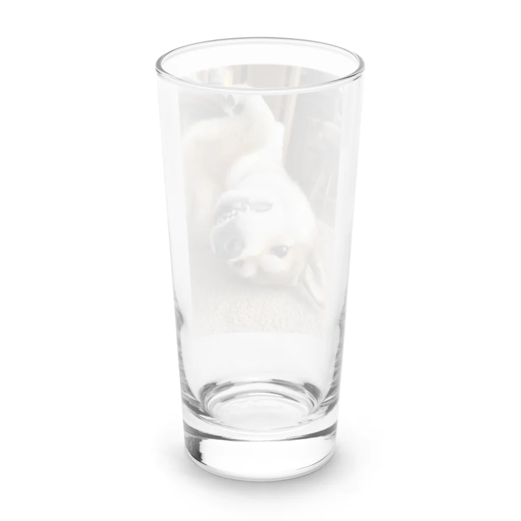 hyogo3000のMugi is Tanuki Long Sized Water Glass :back