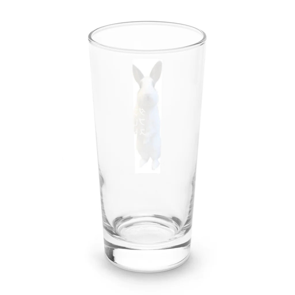 ボッチャグッズ販売のうちのみーちゃんグラス Long Sized Water Glass :back