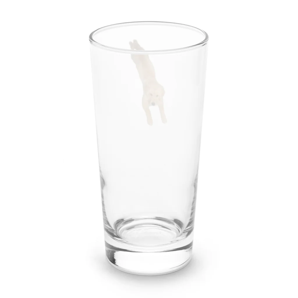 tanikumama_yの飛び込むゴールデン・レトリーバー(子犬) Long Sized Water Glass :back