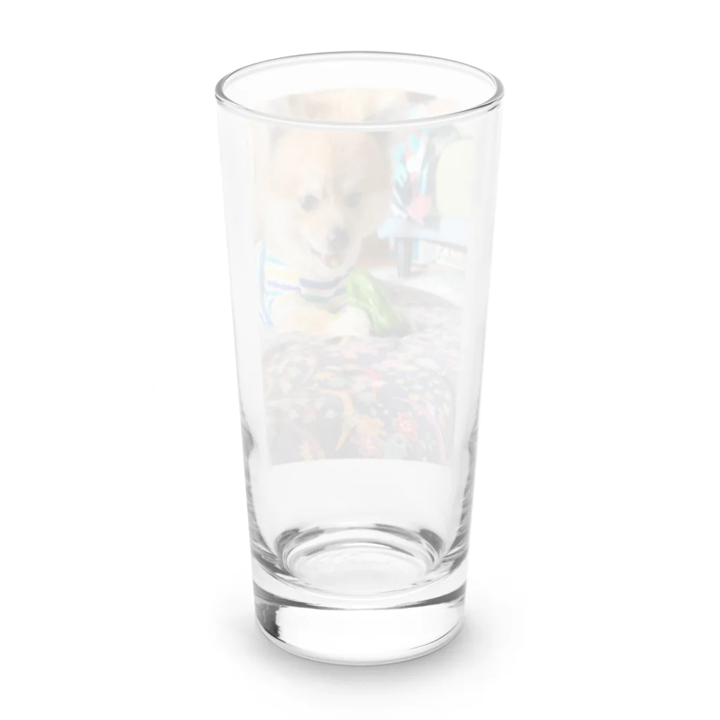 takirairaのごま吉 Long Sized Water Glass :back