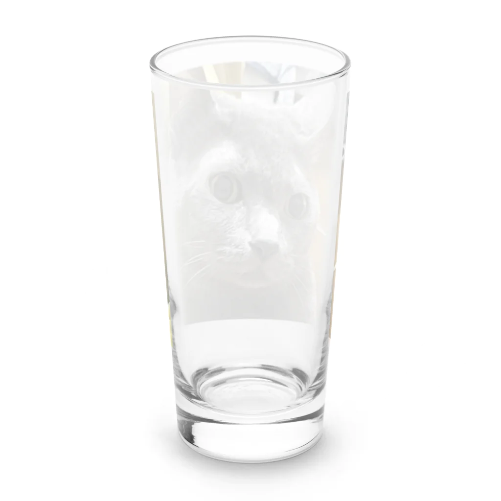 あこの実家の猫 Long Sized Water Glass :back