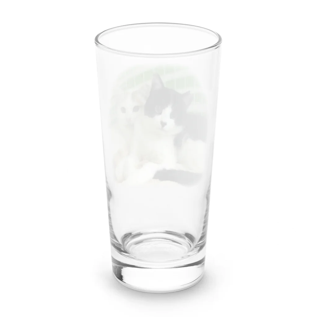 みいた君とみいと君😊仲良し兄弟のみいたくんとみいとくん Long Sized Water Glass :back