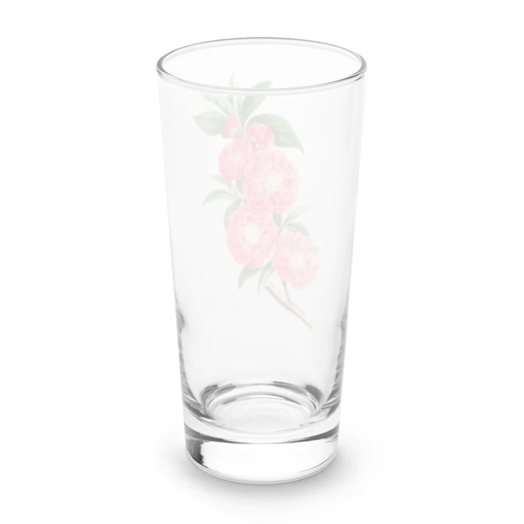 ボタニカルアートのボタニカルアート Long Sized Water Glass :back