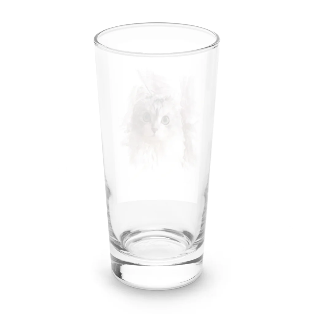 ARTY COATYのお店の猫　デッサン風イラスト Long Sized Water Glass :back