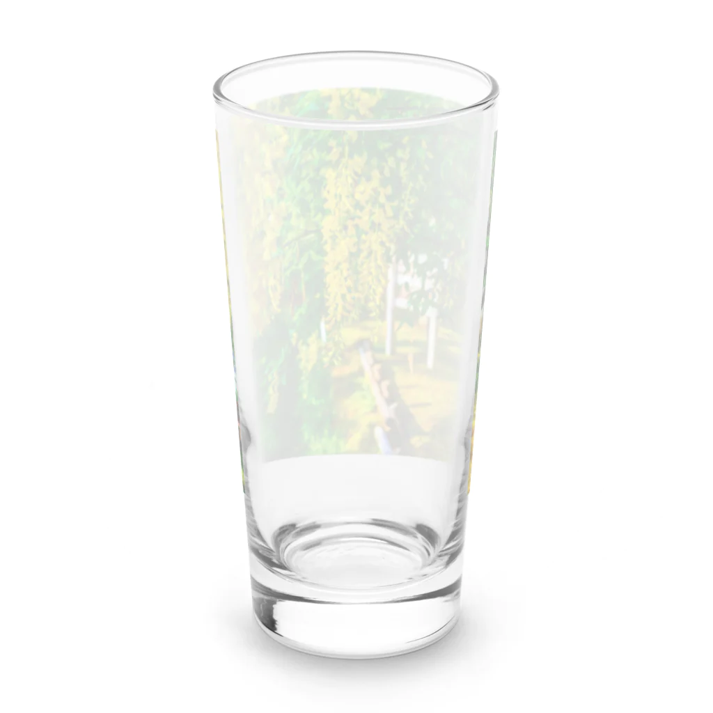 HANA-STUDIOのキングサリ Long Sized Water Glass :back