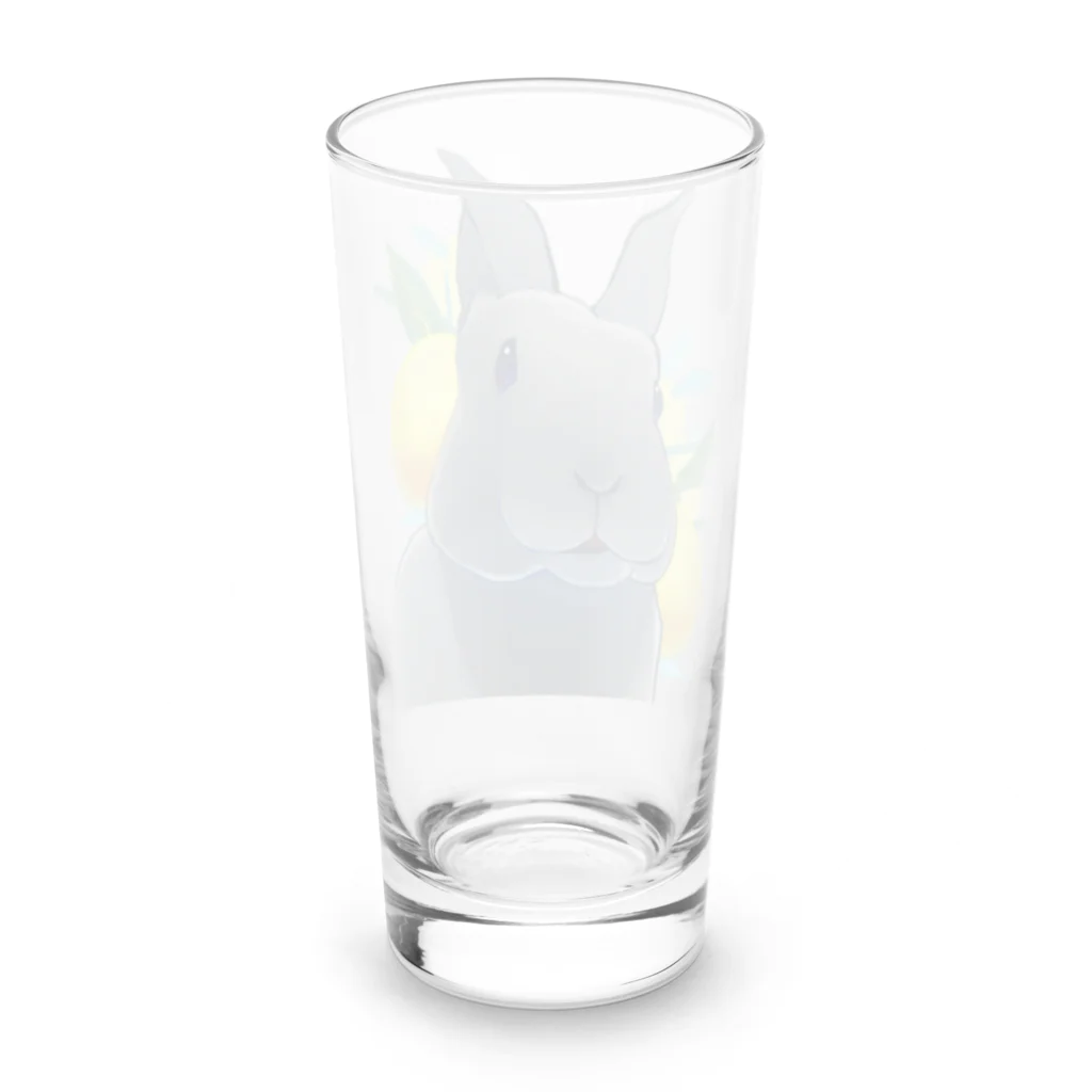 Mountain-and-Valleyのミニレッキスのゆずくん Long Sized Water Glass :back