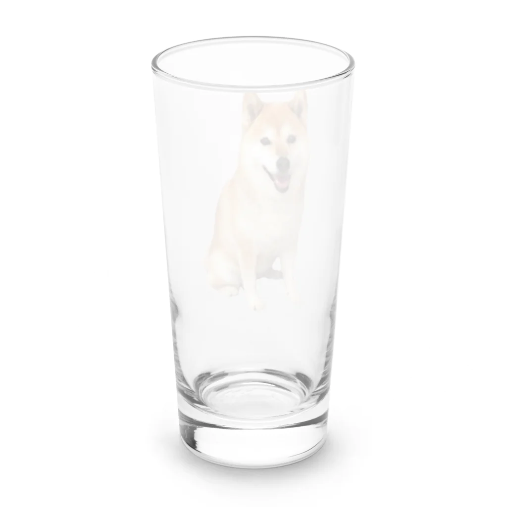 azu azureの柴犬チビちゃん Long Sized Water Glass :back