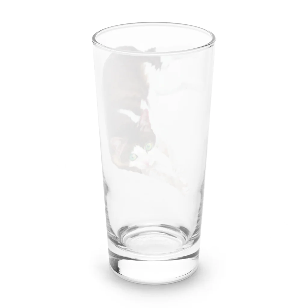 海中のMiyako Long Sized Water Glass :back