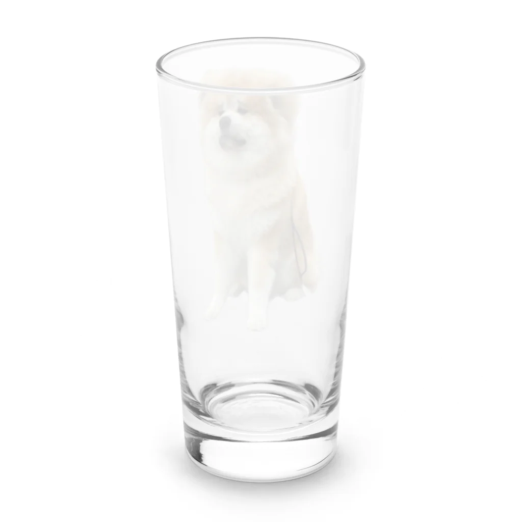 長毛秋田犬ししまるのししまるロンググラス Long Sized Water Glass :back