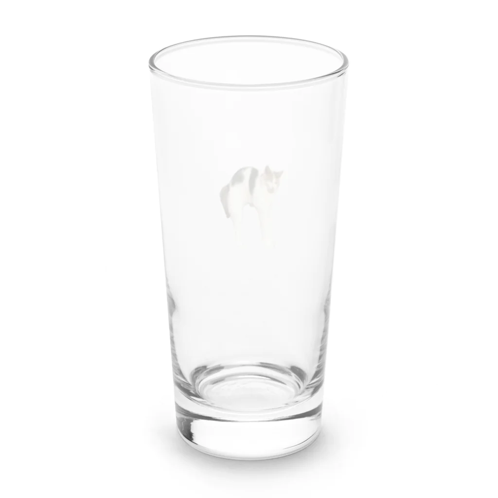 ねこっぷのねこっぷ Long Sized Water Glass :back