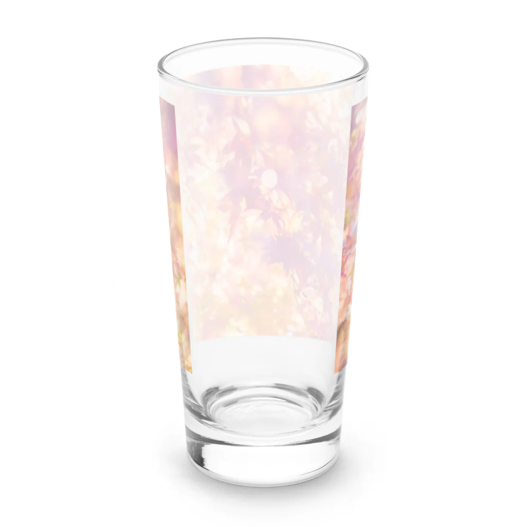 最終進化的量産型良のオレンジノコウヨウ Long Sized Water Glass :back