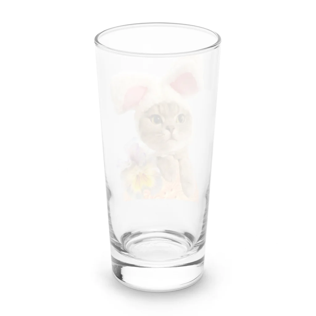 sumire-britishのうさねこ Long Sized Water Glass :back