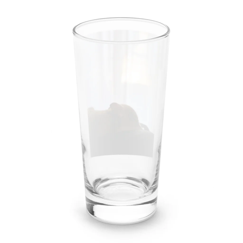 マイクロブタのフィグの横顔と夕陽 Long Sized Water Glass :back