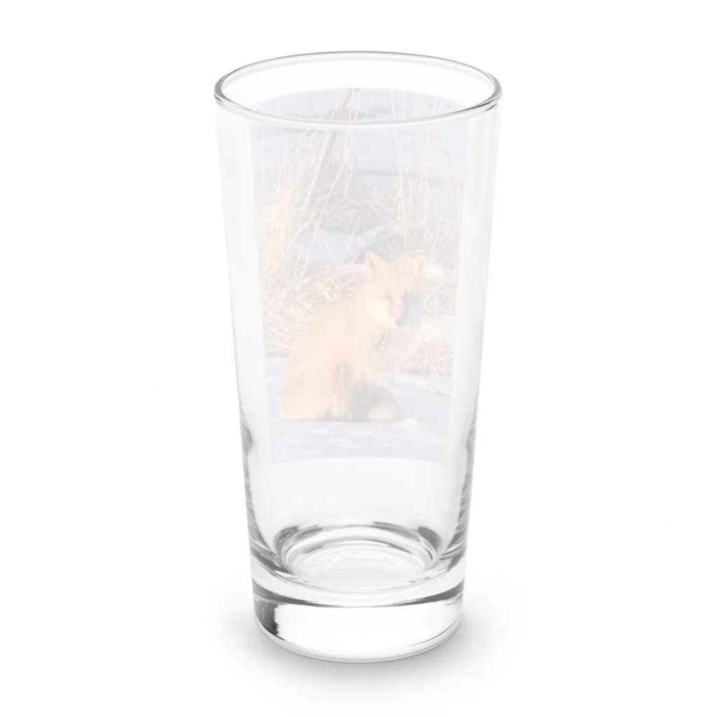 空屋　sorayakusakaの202201010715000　朝日の中のキタキツネ Long Sized Water Glass :back