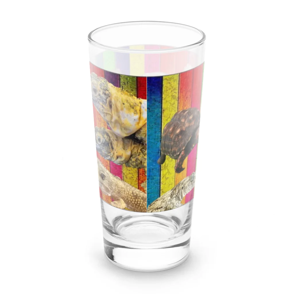 レプタイルズリゾートのレプリゾ③ Long Sized Water Glass :back